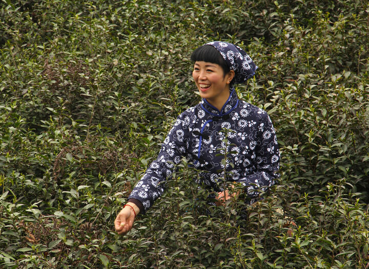 百丽推荐4